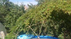 Беседка из стеклопластиковой арматуры покрытая диким виноградом