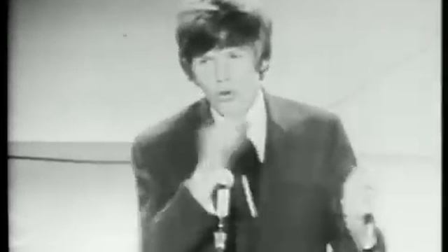 Herman's Hermits - Can't You Hear My Heartbeat смотреть онлайн