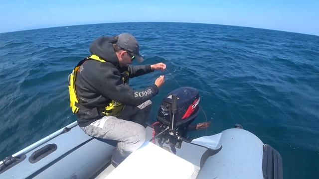 Море. Обычная рыбалка по Сахалински. Поймал и съел знатное чудовище смотреть онлайн