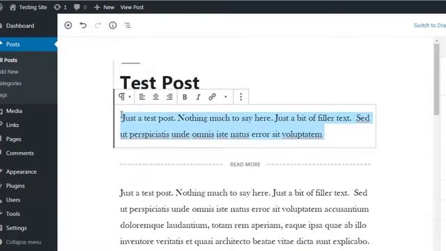 Customise wordpress twenty nineteen theme смотреть онлайн