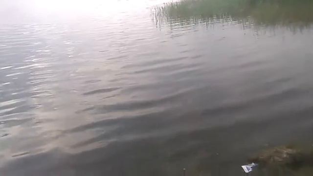 Ни кто на этом озере не сможет поймать КАРАСЯ смотреть онлайн