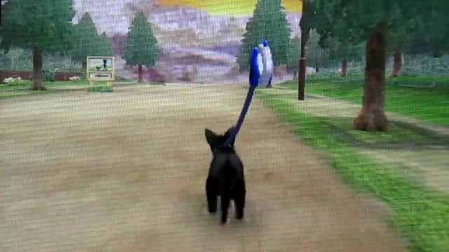 Nintendogs + Cats: Master cup Disk! (#22) смотреть онлайн