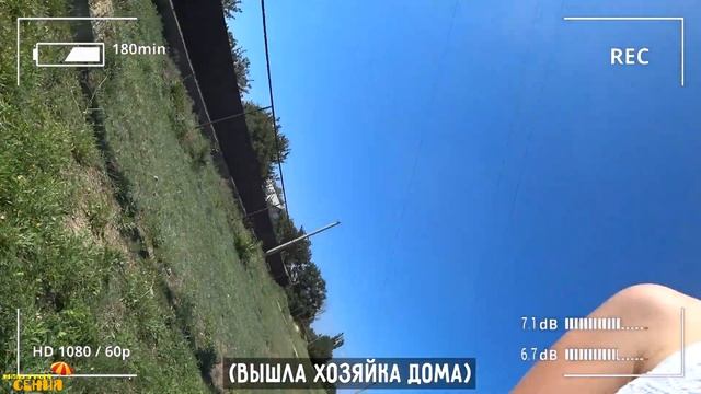 Наша история, как мы нашли свою родню в Крыму.Село Кропоткино, Раздольное, Раздольненский район смотреть онлайн