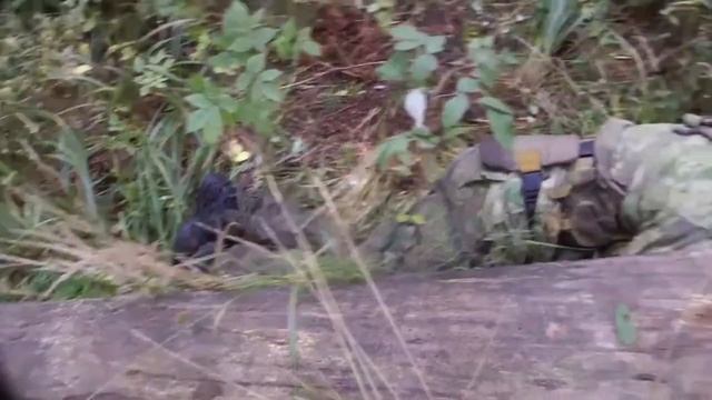 Тактика пехоты - Скрытное преодоление поваленного дерева смотреть онлайн