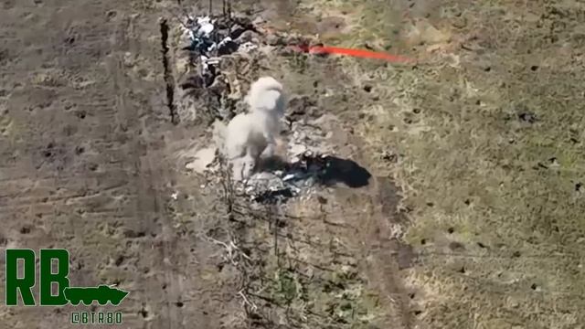 Кадры обработки опорника ВСУ в районе Кременной. смотреть онлайн