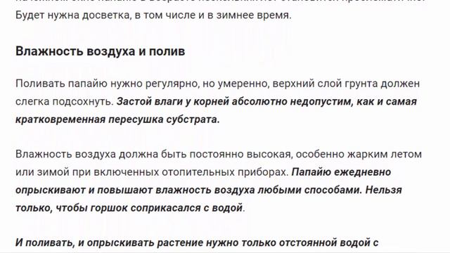 Папайя Растения для дома и сада смотреть онлайн