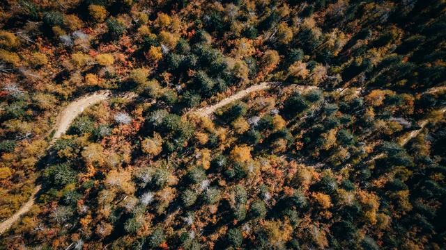 ПРОСВЕТЛЕНИЕ ЄТО ПРОСТО смотреть онлайн