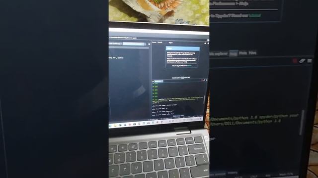 spyder python 3.8 your full information смотреть онлайн