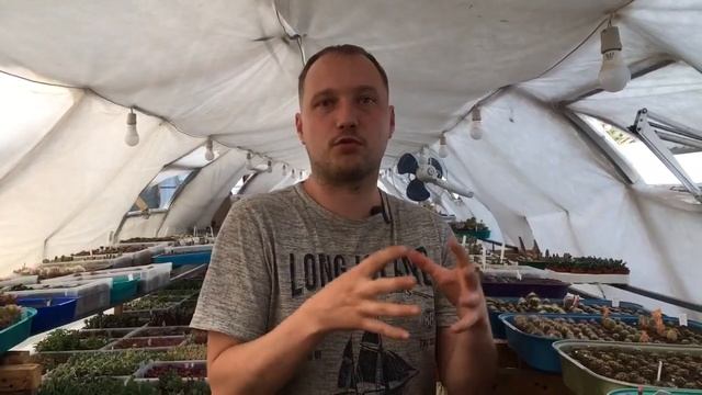 Как правильно ухаживать за кактусами весной. смотреть онлайн