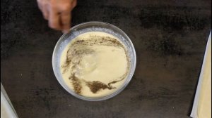 МЯТЫЙ ПИРОГ из готового вытяжного теста/теста фило #пирог