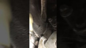 Карбюратор ваз 2107 дааз, нюанс при сборке . Не срабатывает вторая камера из за пружины