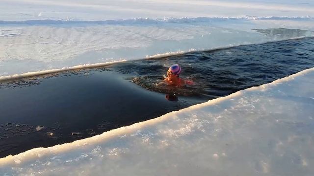 новогодний привет из проруби Натальи Серой МОРЖИ СТОЛИЦЫ 11 01 2017 смотреть онлайн