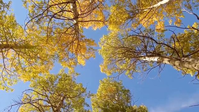 10 минут музыки для внутренней перезагрузки смотреть онлайн