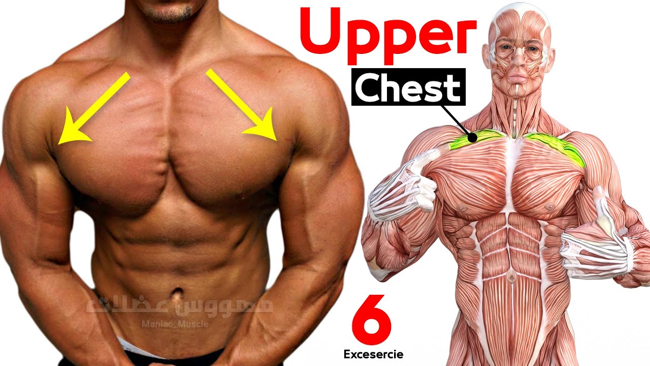 Как улучшить тренировку верхней части груди (6 эффективных упражнений) смотреть онлайн