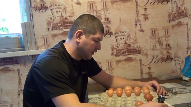 Овоскопирование яиц на 12 день//кросс Доминант смотреть онлайн