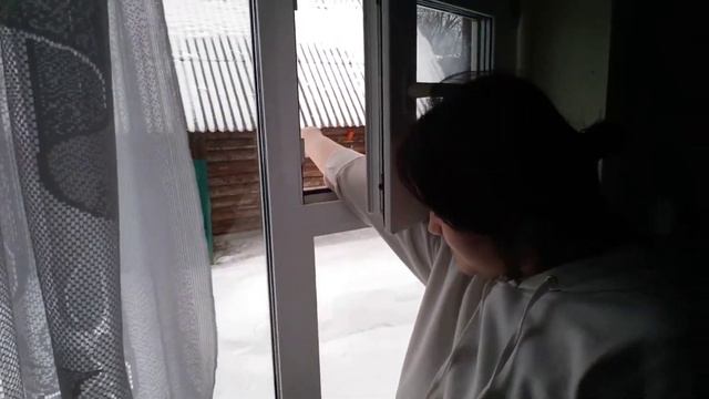 00:31 СИНИЦА и СЕМЕЧКИ смотреть онлайн