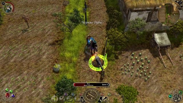 Sacred 2: как они мне все надоели... #6