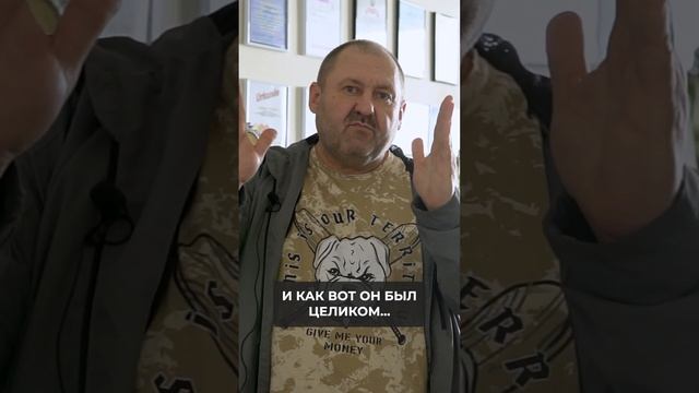 Собак НЕЛЬЗЯ кормить сухим КОРМОМ! Чем кормить собаку? Почему СУХОЙ корм ОПАСЕН? #shorts #кормсобак смотреть онлайн