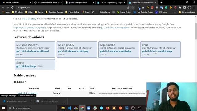 01.Getting started with Golang and setting up dev environment | BTP смотреть онлайн