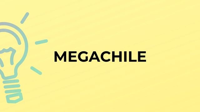What is the meaning of the word MEGACHILE? смотреть онлайн