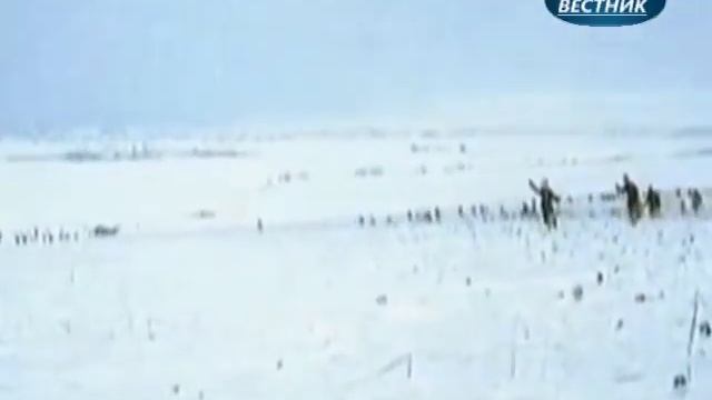 "Дата в истории" 19 ноября 1942 года смотреть онлайн