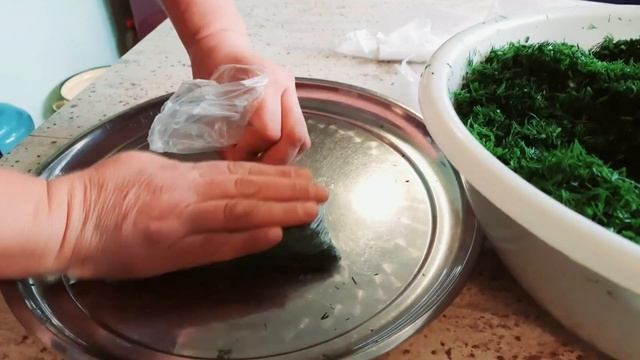 Укроп Аллигатор.Наконец то,нашла хороший сорт. Осенний урожай. Заморозка.(31.07/15.09.21г.) смотреть онлайн