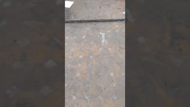 Все как обычно плитки и кипятильники. смотреть онлайн
