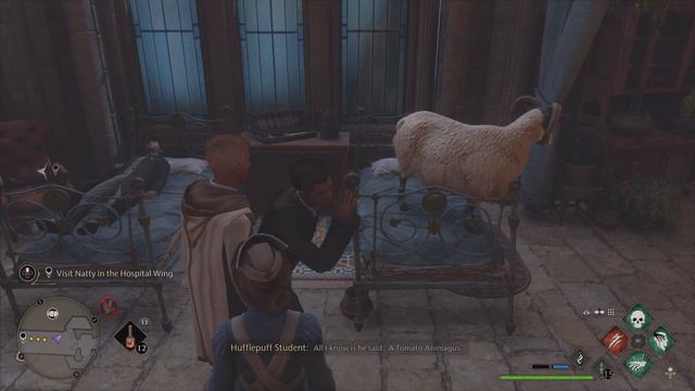 Hogwarts Legacy Funny NPCs Moment смотреть онлайн