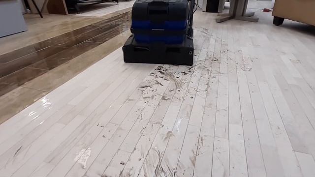 Bona Power Scrubber краткий обзор смотреть онлайн