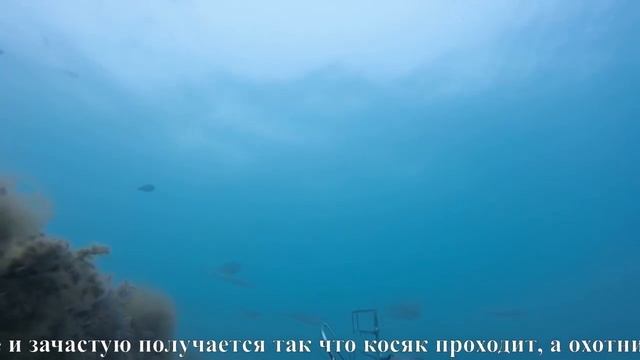 подводная охота на черном море кефаль смотреть онлайн