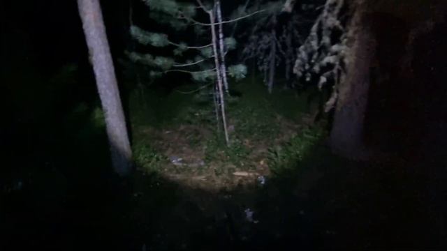 Охота на медведя Превью смотреть онлайн