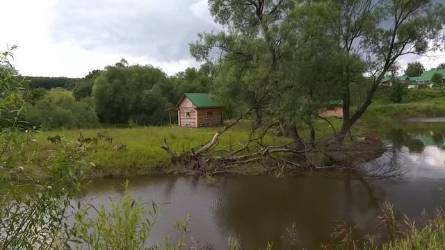 ПРУД СВОИМИ РУКАМИ. Как выглядит пруд через пять лет после строительства на семинаре Зеппа Хольцера смотреть онлайн