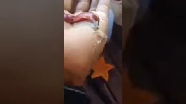 Самый противный в мире червь смотреть онлайн