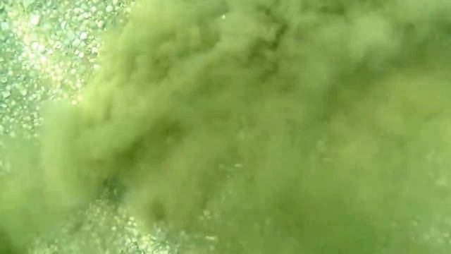 Сhannel Roman Digger ( Most Popular Video! )