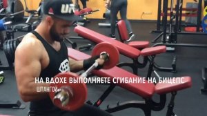 ГИГАНТСКИЙ СЕТ НА БИЦЕПС