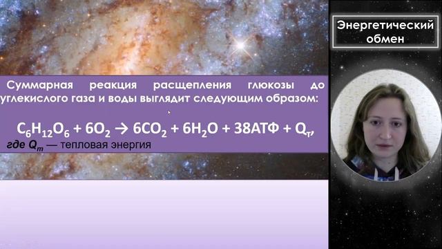 Энергетический обмен разбор темы + разбор реальных заданий. Биология ЕГЭ с Валерией Латимерией. смотреть онлайн