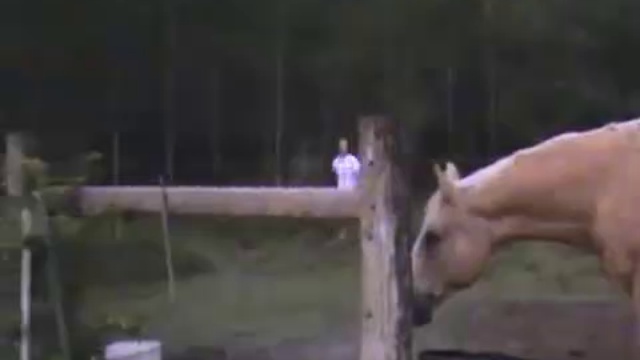 Что, черт возьми только что произошло? смотреть онлайн