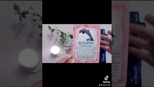 ?♀️Таро История «Тотемное Животное на неделю 10-16.05 для знаков Стихии Вода!»✋? смотреть онлайн