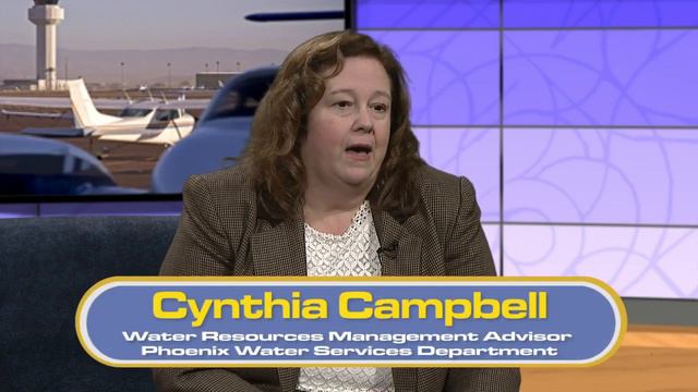 On The Issues With Councilwoman Thelda Williams смотреть онлайн