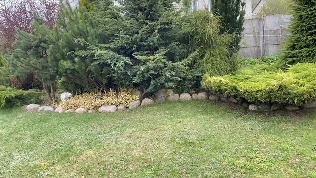 Агроткань?❌ больше не использую в своем саду! Мой отрицательный опыт. Ленивым клумбам быть? смотреть онлайн