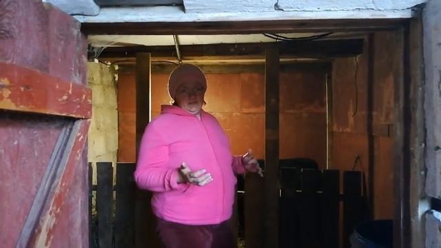 Выкармливание теленка смотреть онлайн