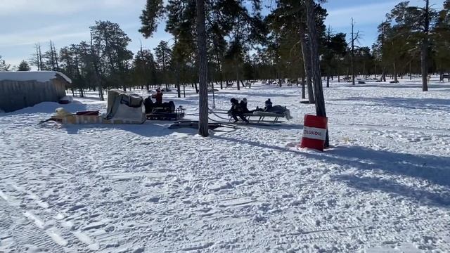 Как и чем развлекаются дети на стойбище смотреть онлайн