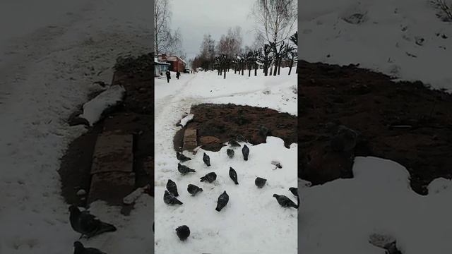 раскопки теплотрассы Ижевск Кирова 3-5 смотреть онлайн