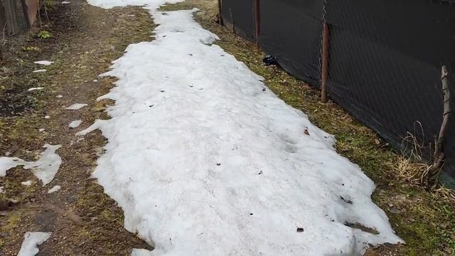 ОТКРЫТИЕ ДАЧНОГО СЕЗОНА 2022 года смотреть онлайн