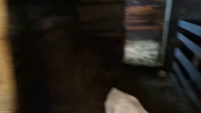 КОШМАР ПРОДОЛЖАЕТСЯ-ОПЯТЬ ЗИМА. ДЕЛАЕМ ВИТАМИНЫ ТЕЛЯТАМ. смотреть онлайн