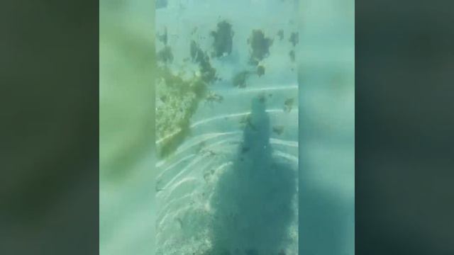 Каспийское море смотреть онлайн