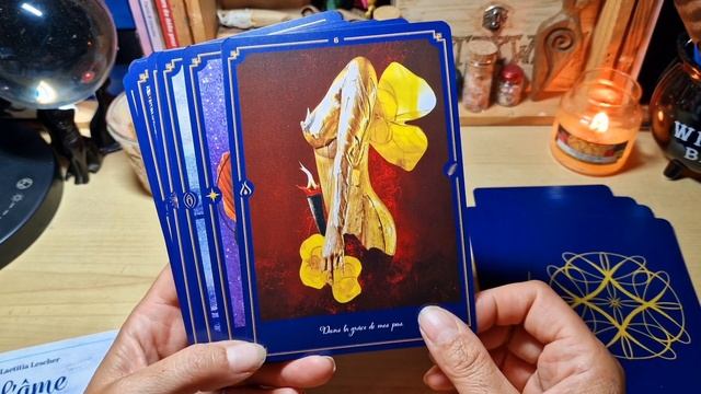 ? L'oracle L'âme à fleur de peau de Laetitia Lescher ? смотреть онлайн