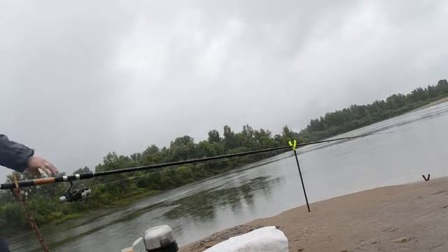 Ловим мирную рыбу! смотреть онлайн