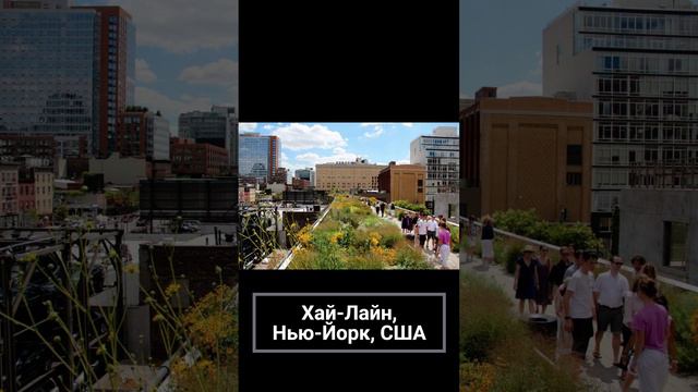 #сад #ландшафт #природа #искусство #алтай #АГУ смотреть онлайн