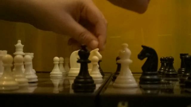 Турнир по шахматам